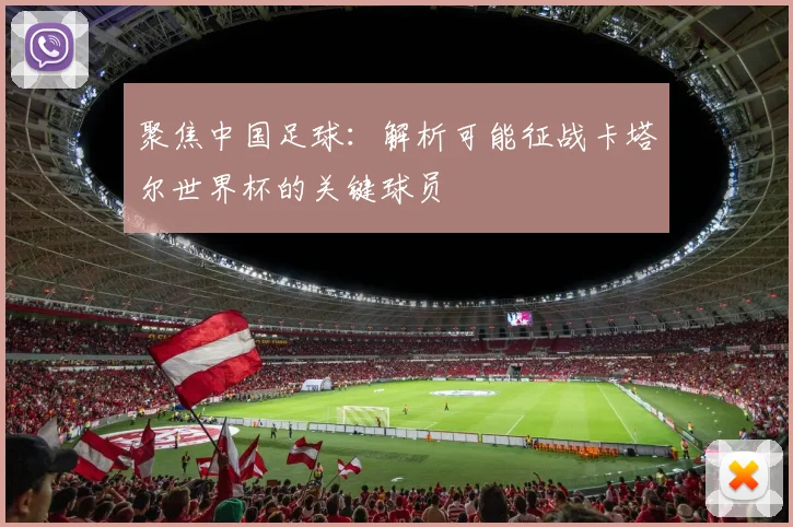 聚焦中国足球：解析可能征战卡塔尔世界杯的关键球员