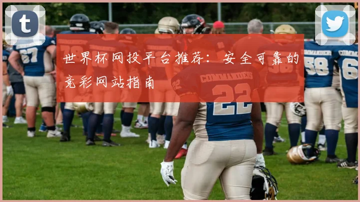 世界杯网投平台推荐：安全可靠的竞彩网站指南