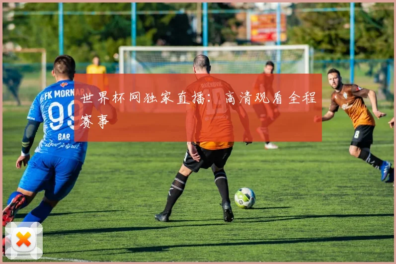 世界杯网独家直播：高清观看全程赛事