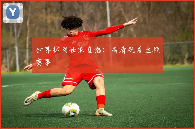 世界杯网独家直播：高清观看全程赛事