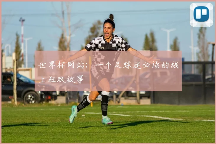 世界杯网站:一个足球迷必读的线上狂欢故事