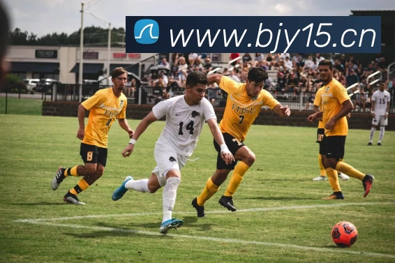 米兰体育在线登录官网APP 体育赛事宣传图